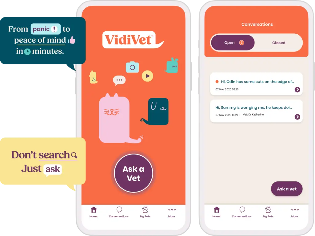 vidivet app promo
