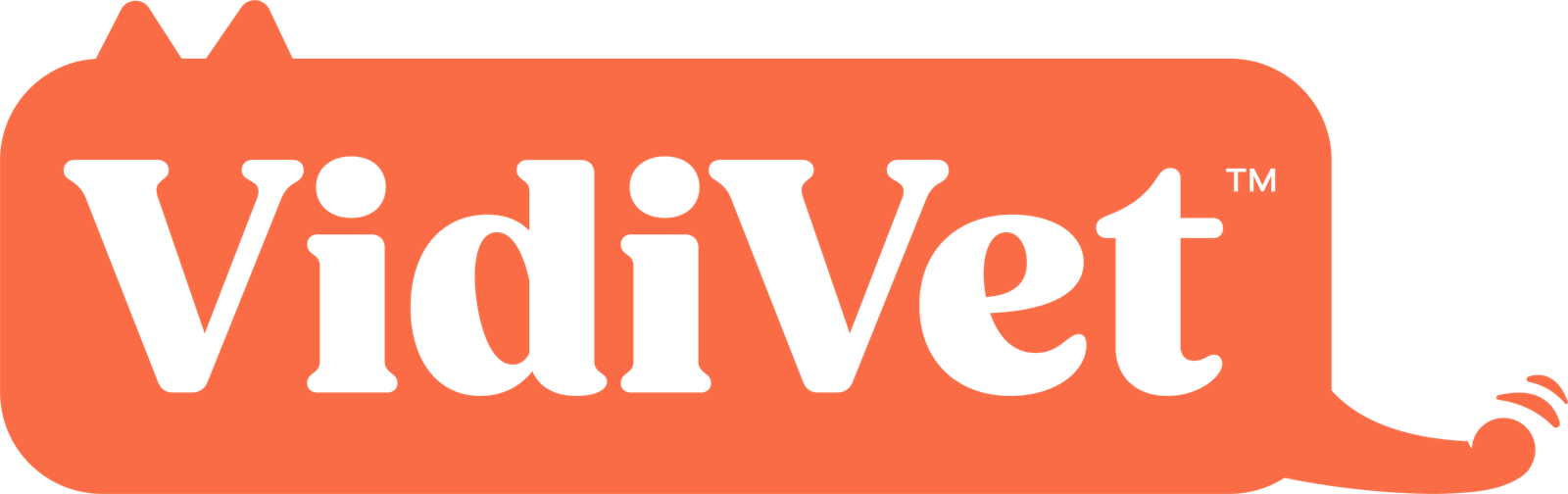 vidivet logo cat