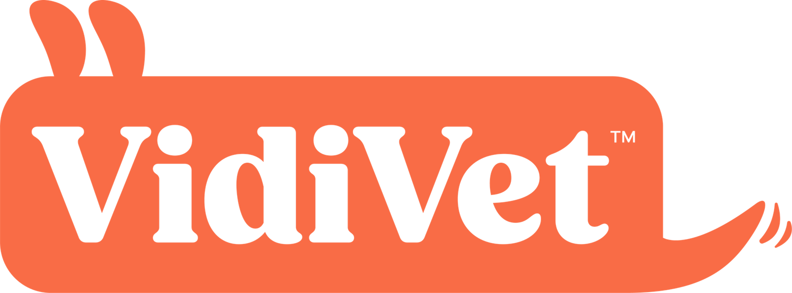vidivet logo dog